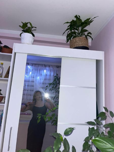 Profilbillede